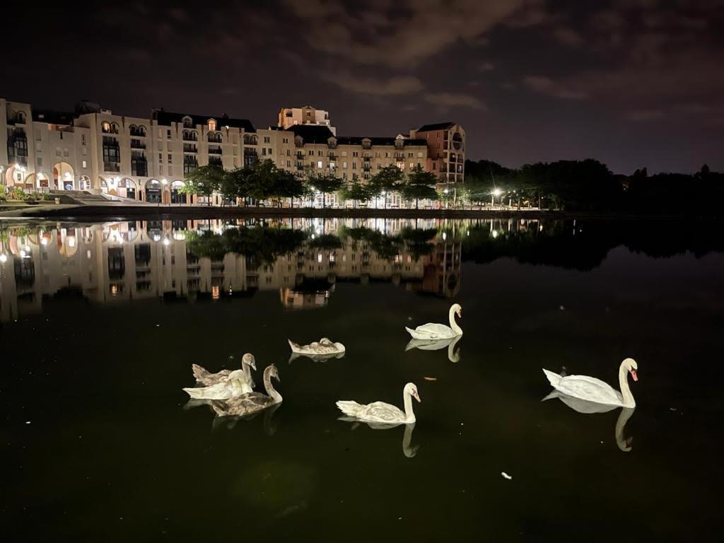 Vue Exceptionnelle Sur Le Lac Créteil Exterior foto